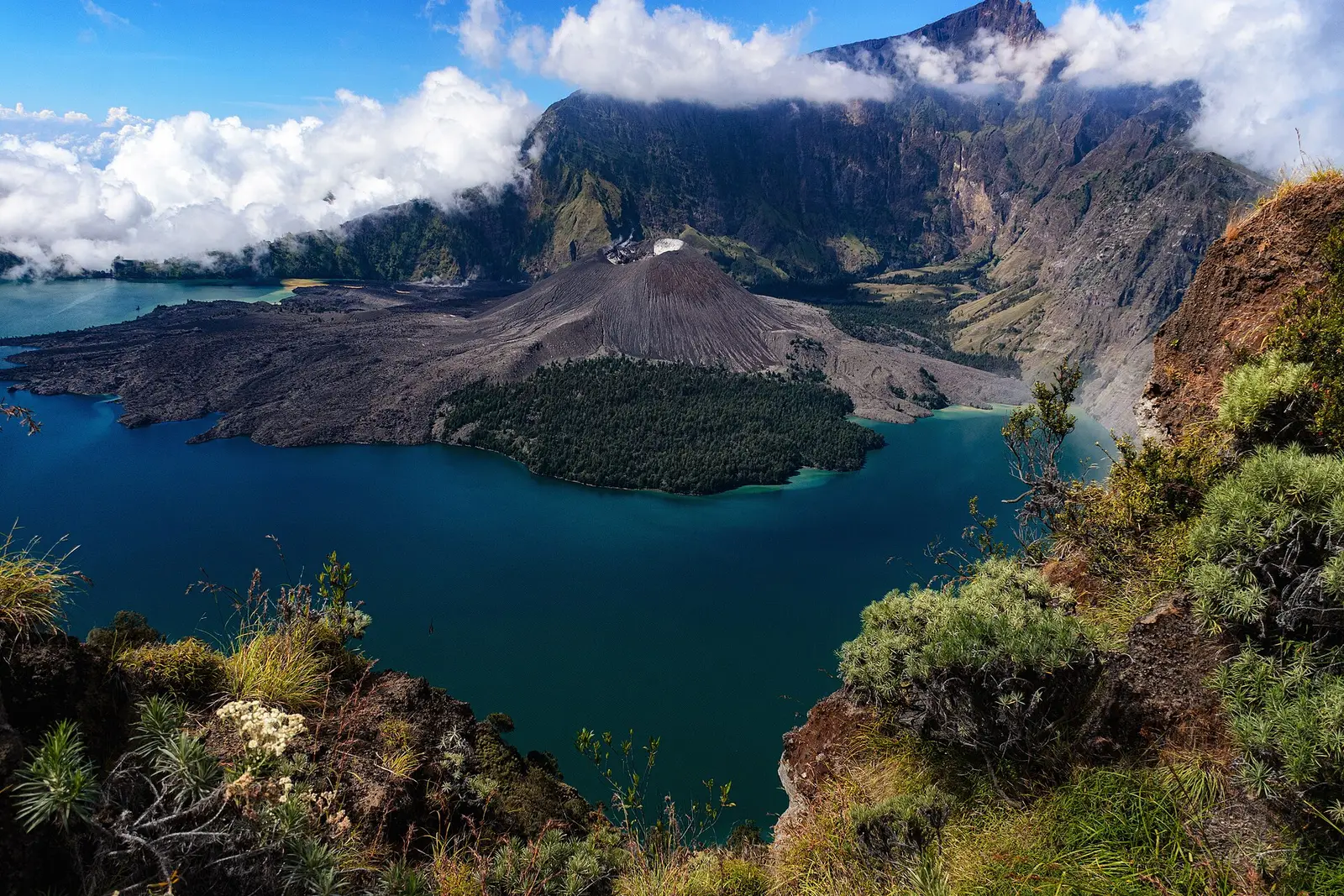 Segara Anak lake wrapping around the Barujari cone, framed by shrubs on the crater rim